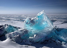 乐鱼中国：让海洋娱乐走进日常生活的创新平台